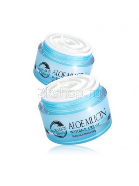 The Skin House Aloe Mucin waterful cream Увлажняющий крем  с алоэ и улиточным секретом