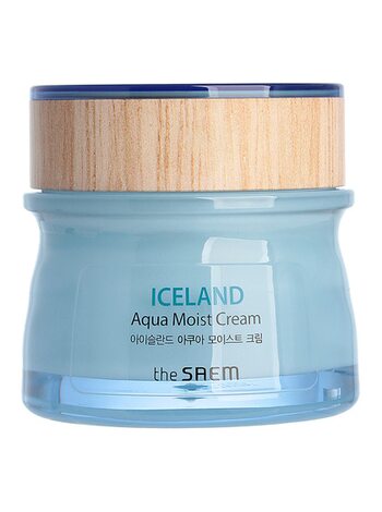 The Saem Крем для лица увлажняющий Iceland Aqua Moist Cream 60ml