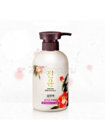 Daeng Gi Meo Ri JINYOON Anti-Hair Loss SHAMPOO (For Oily Scalp) Шампунь против выпадения волос для жирной кожи головы