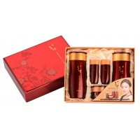 Набор для лица уходовый Welcos Hyo Yeon Jayang Skin Care 2 Items Set
